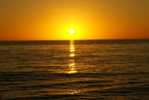 Энергия Жизни